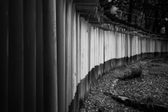 Fushimi Inari, Kyoto