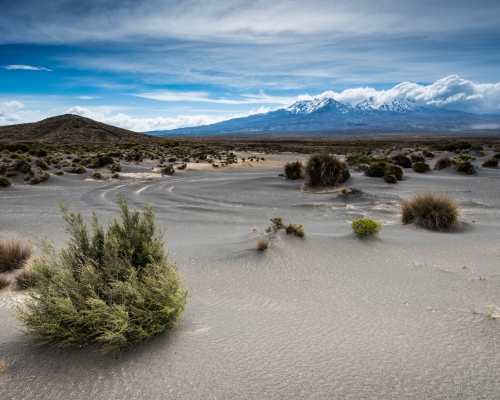 New Zealand